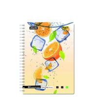 Бизнес-тетрадь FRUIT&ICE А4 96л,апельсины клет спир,жес кар