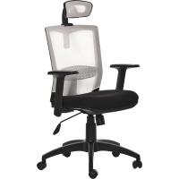 Кресло BN_LB_Рук-ля Echair-627 TTW ткань черн, сетка св-сер, пласт
