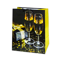Пакет подарочный бумажный Шампанское, 17,8х22,9х9,8см, размер М